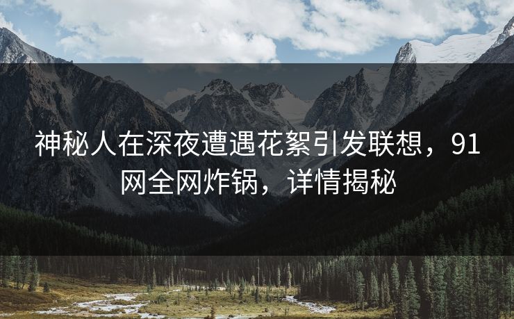 神秘人在深夜遭遇花絮引发联想，91网全网炸锅，详情揭秘