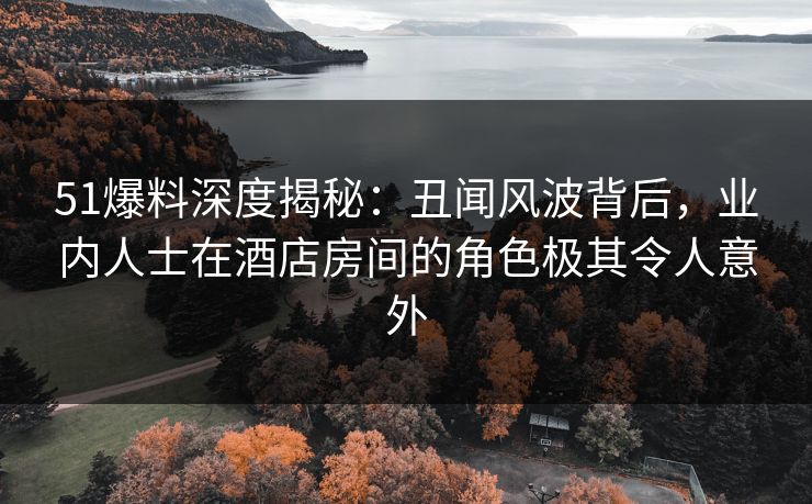 51爆料深度揭秘：丑闻风波背后，业内人士在酒店房间的角色极其令人意外