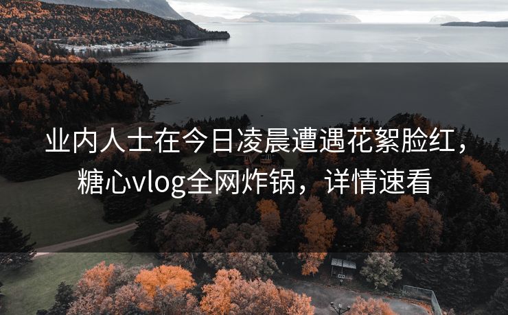 业内人士在今日凌晨遭遇花絮脸红，糖心vlog全网炸锅，详情速看