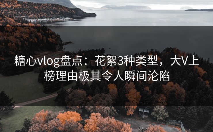糖心vlog盘点：花絮3种类型，大V上榜理由极其令人瞬间沦陷